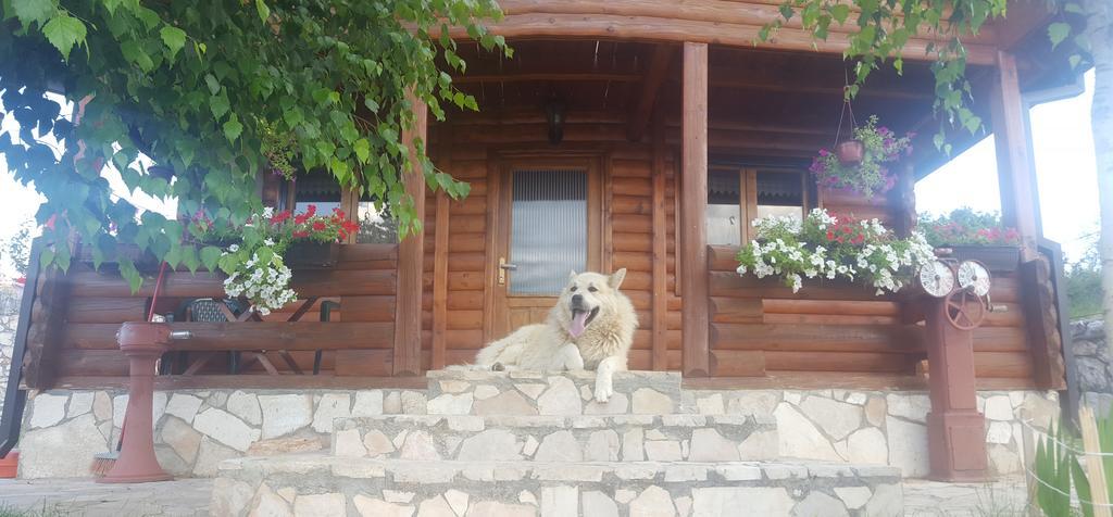 Zoric